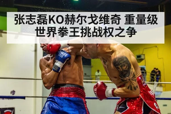 张志磊KO赫尔戈维奇 重量级世界拳王挑战权之争